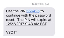Screenshot with an example text message with the PIN