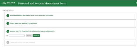 Screenshot showing form to validate the PIN