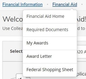 Financial Aid navigation option