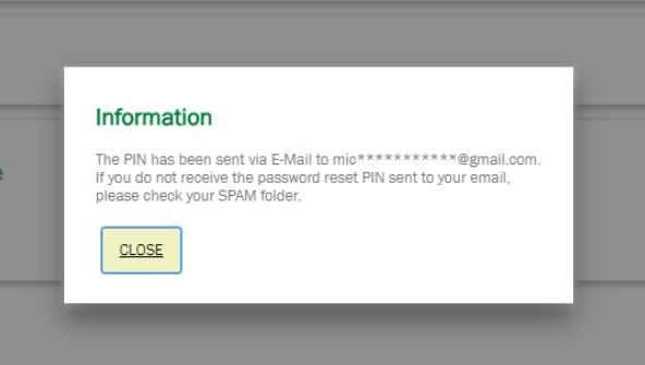 Screenshot showing the email PIN option